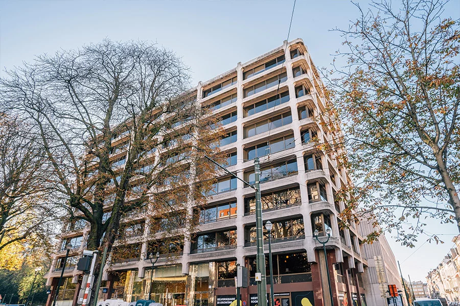 Agence immobilière Louise